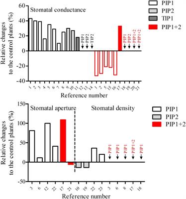 Are Aquaporins Expressed in Stomatal Complexes Promising Targets to Enhance Stomatal Dynamics?